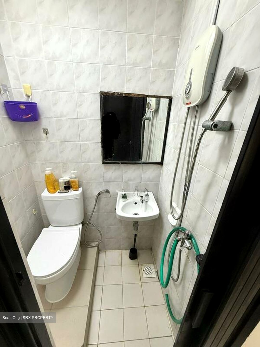Simsville (D14), Condominium #545149341